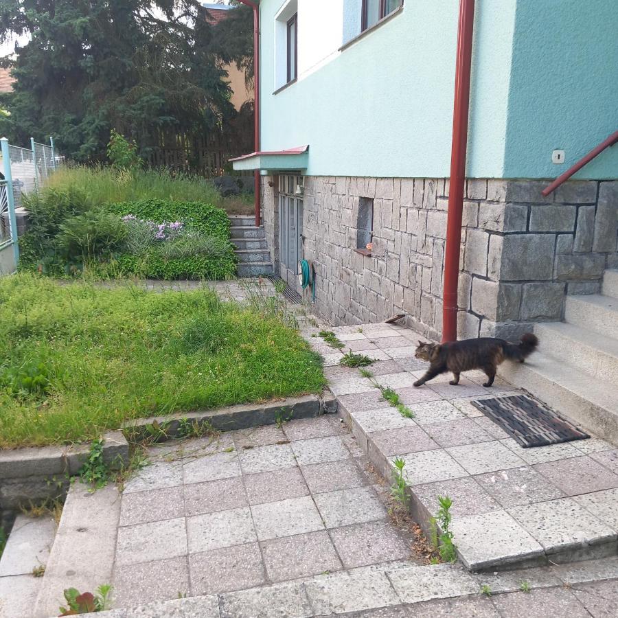 Apartment In The City Of Pilsen Bozkov Exterior foto